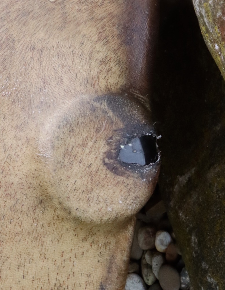 Edelsteintrommel Vollmond April 26 Rothirsch Bulle 35 cm