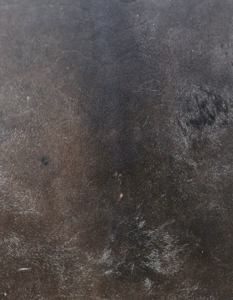 Schamanen Trommel Neumond März 24 DigiDrum 36 cm