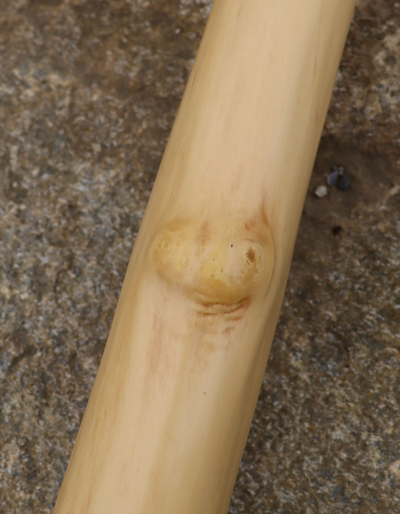 Didgeridoo High End  Holunder 147 cm C 440 hz