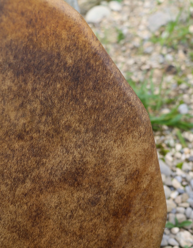 Vollmondritual Trommel Okt. 25 Rothirsch Bulle 50 cm