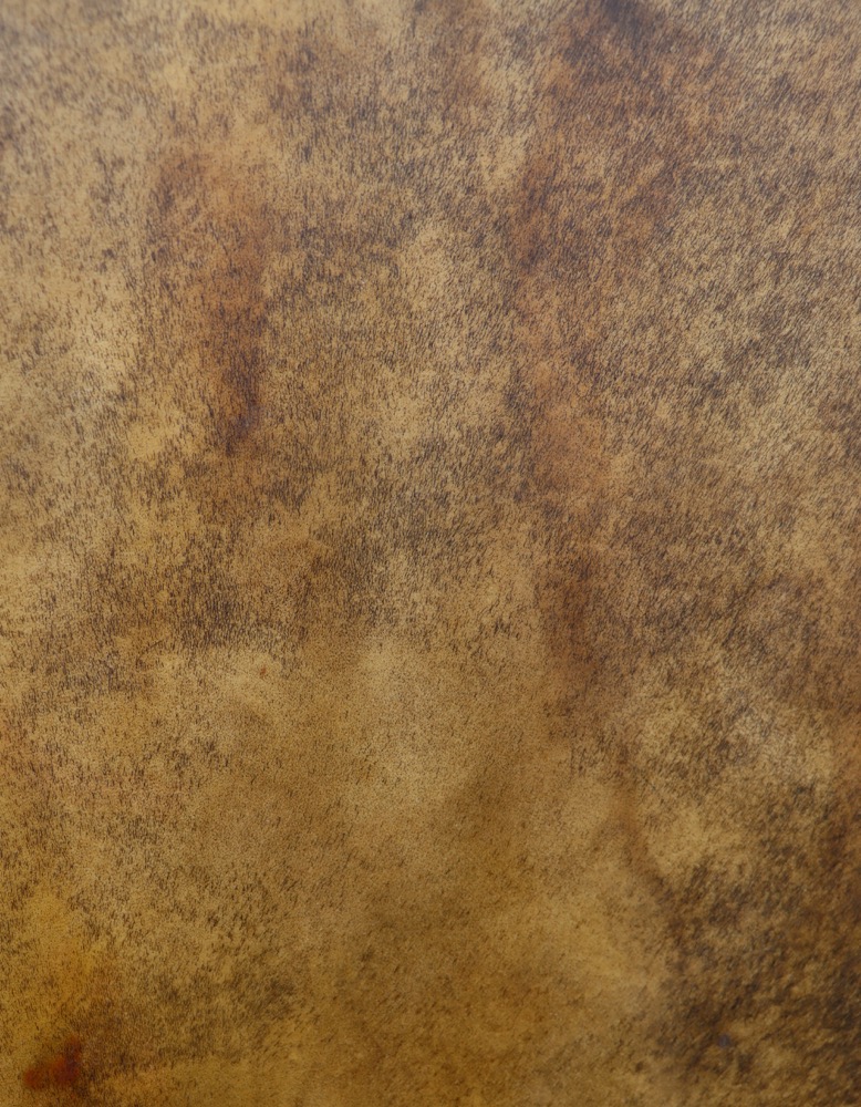 Vollmondritual Trommel Okt. 25 Rothirsch Bulle 50 cm