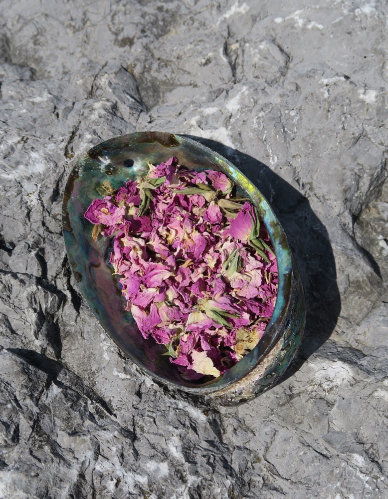 Rosenblüten  die Königin der Blumen  20 g Berk innere Welten