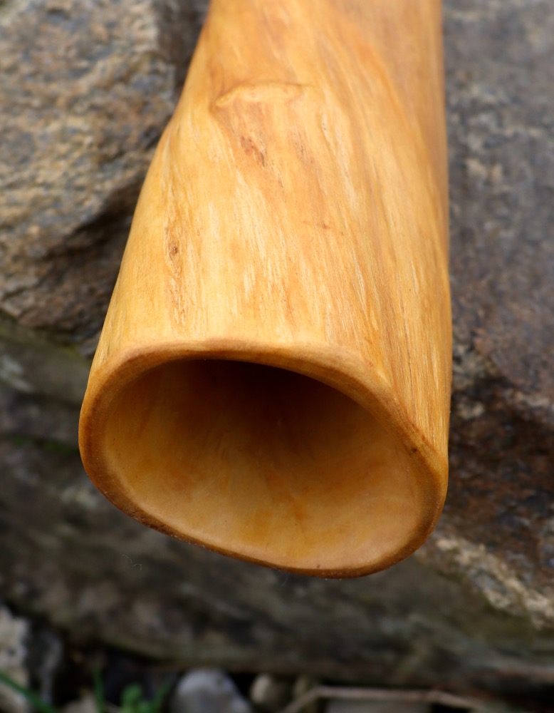 Didgeridoo Higend Holunder 159 cm  B 432 hz
