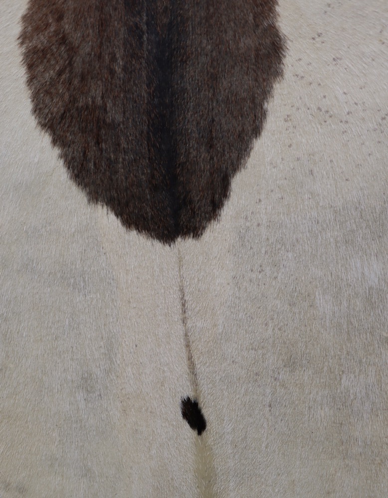 Schamanen Trommel Ziege 50 cm 