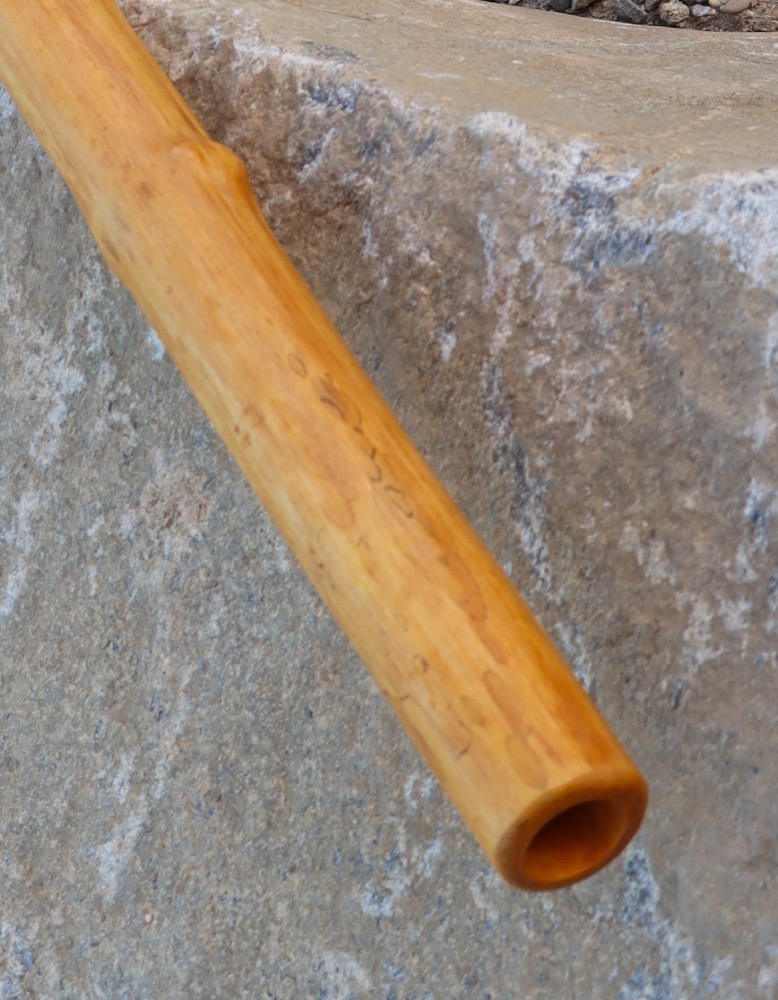 Fujara C Holunder mit charaktervollen Ästen 127 cm
