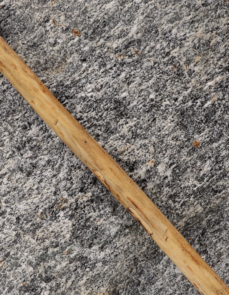 Schamanenrassel  Standard Rothirsch 