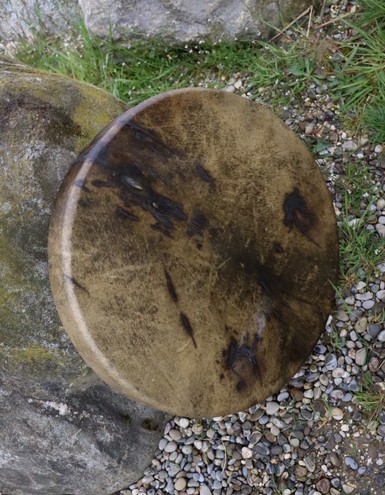 Erdentrommel Neumond März 26 Rothirsch Bulle 45 cm