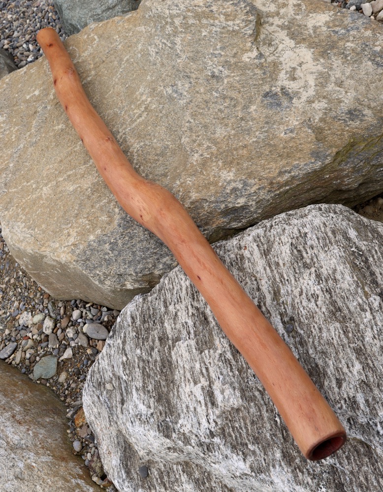Didgeridoo Eukalyptus Holzmundstück A# 144 cm