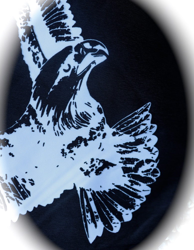 Trommeltasche Adler Trommelgrösse 50 cm