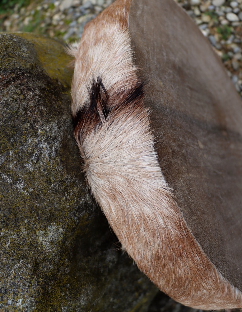 Schamanen Trommel  Ziege ungeschmückt 45 cm
