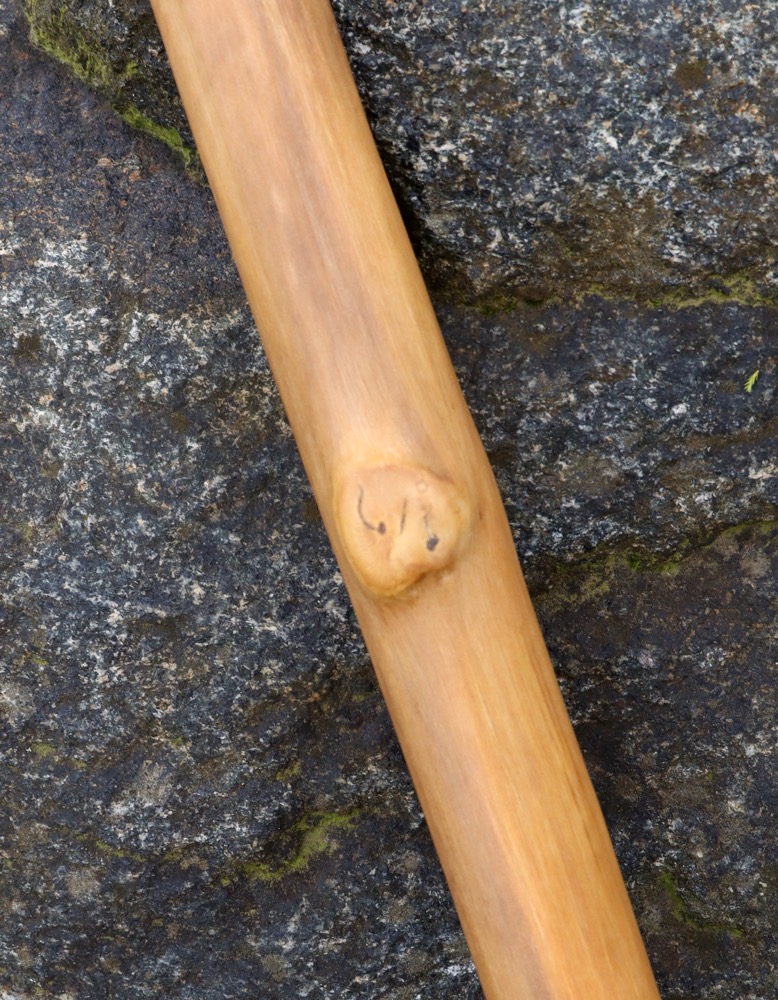 Moldawische Kaval Holunder C Premium Qualität