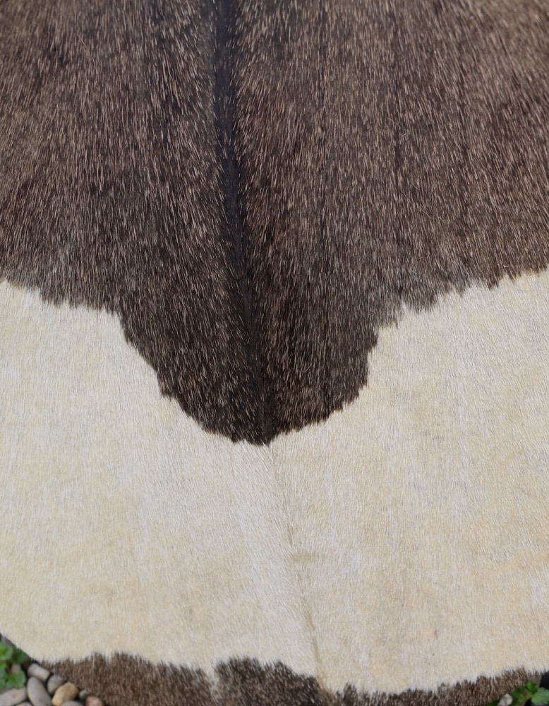 Schamanen Trommel Ziege fnished by DigiDrum 39 cm