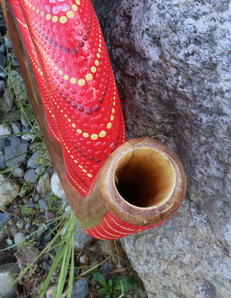  Reise Didgeridoo Didgeschnecke Teak C# 440 hz 