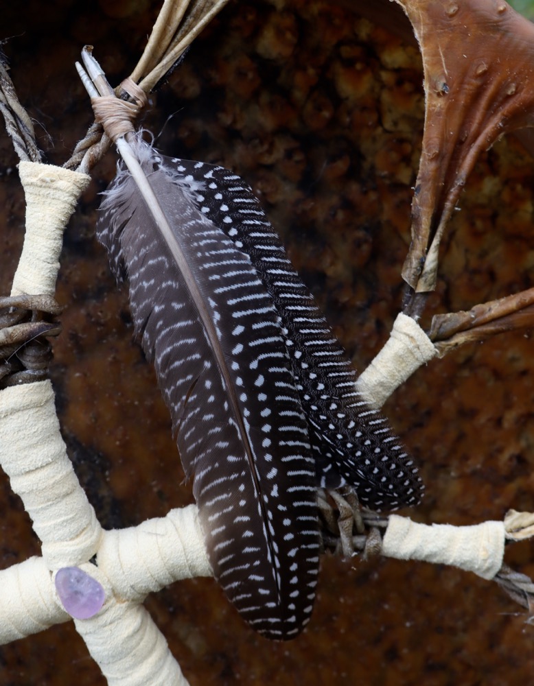 Vollmondritual Trommel Dez. 25 Vogel Strauss 46 cm