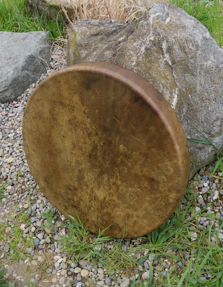 Erdentrommel Vollmond April 26 Rothirsch Bulle 50,5 cm 