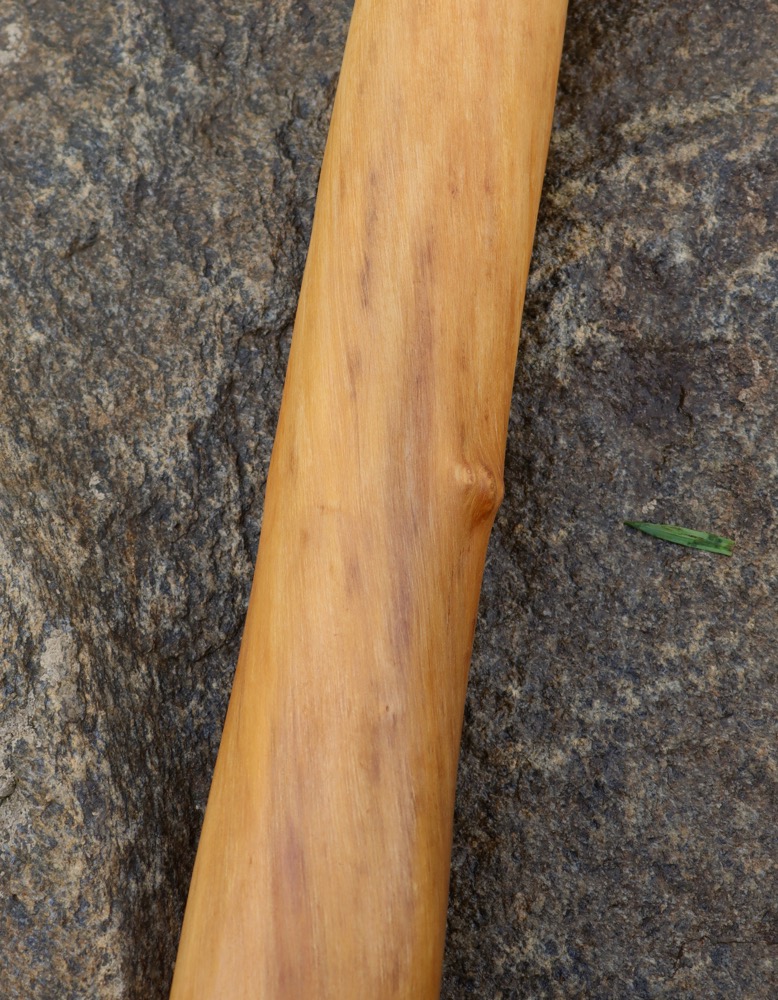 Didgeridoo Higend Holunder 159 cm  B 432 hz