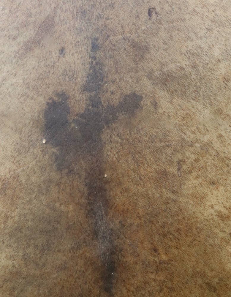 Edelsteintrommel Vollmond April 26 Rothirsch Bulle 35 cm