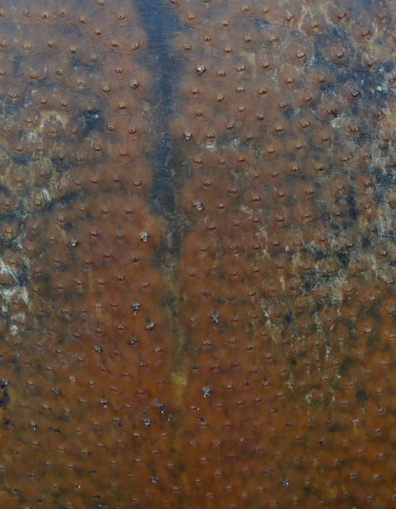 Vollmondritual Trommel Dez. 25 Vogel Strauss 46 cm